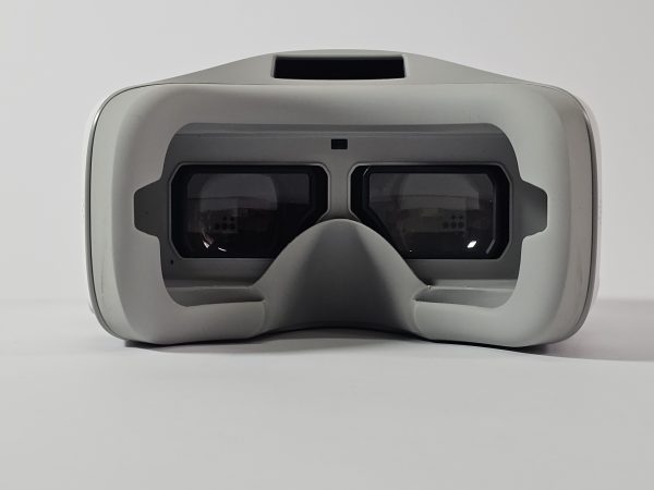 dji goggles wit